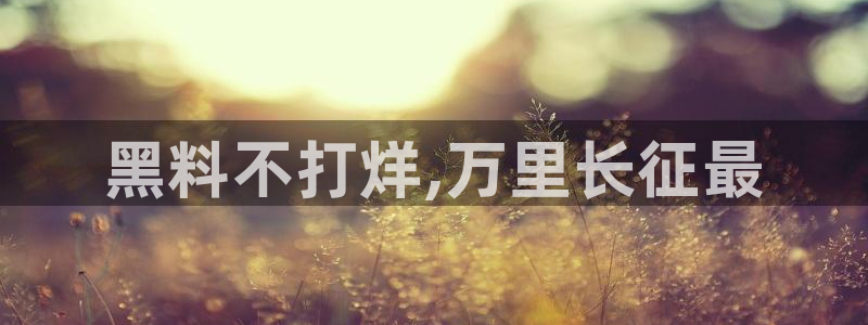 51吃瓜 张津瑜 网