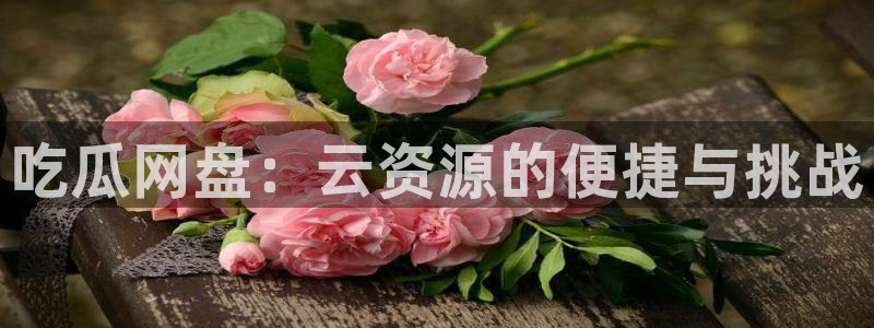 51吃瓜 张津瑜：吃瓜网盘：云资源的便捷与挑战