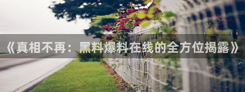 吃了坏瓜怎么办:《真相不再:黑料爆料在线的全方位揭露》