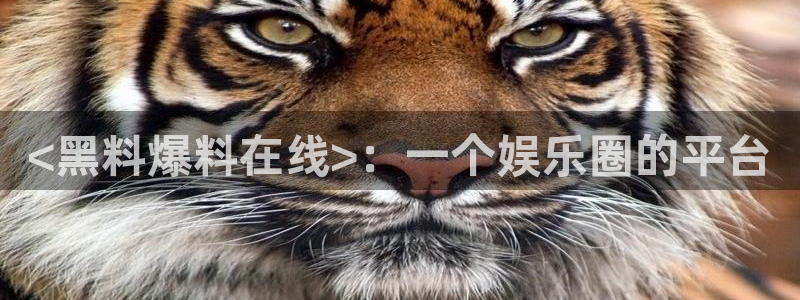 58吃瓜今日吃瓜入口：<黑料爆料在线>：一个娱乐圈的平台