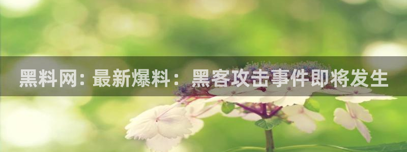各种网红爆料吃瓜