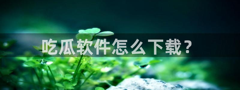 吃瓜www:吃瓜软件怎么下载?
