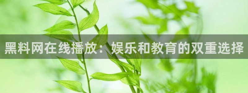 吃瓜小说:黑料网在线播放:娱乐和教育的双重选择