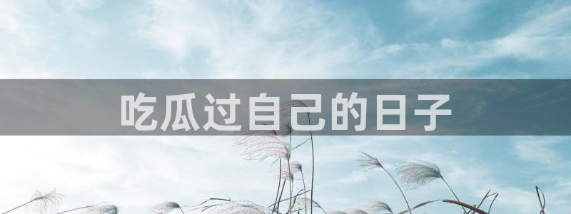黑料专区：吃瓜过自己的日子