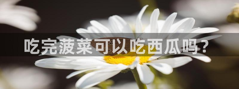 taipeinana51吃瓜