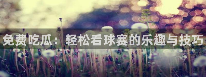 吃了坏瓜怎么办：免费吃瓜：轻松看球赛的乐趣与技巧