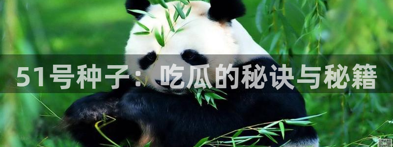 吃瓜网998.su永久有效:51号种子:吃瓜的秘诀与秘籍