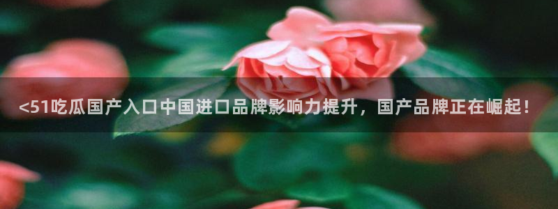 吃瓜网 今日吃瓜 热门大瓜：<51吃瓜国产入口中国进口品牌影响力提升，国产品牌正在崛起！