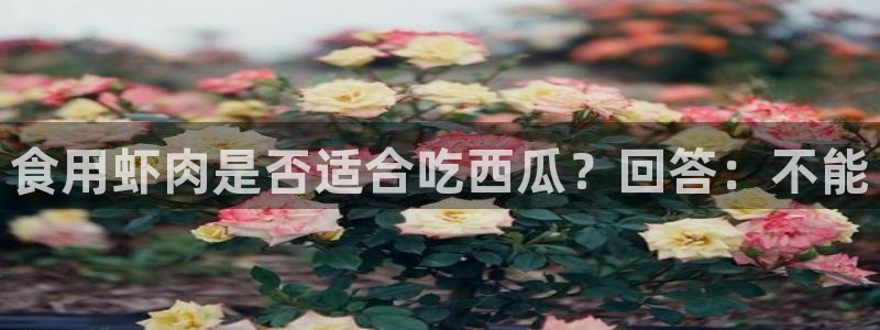 吃瓜下载