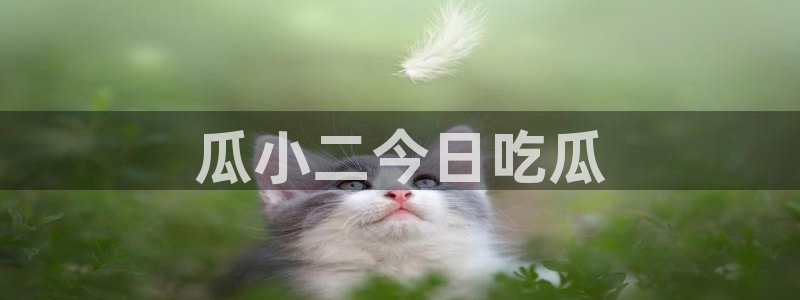 ccgg.ct今日吃瓜：瓜小二今日吃瓜