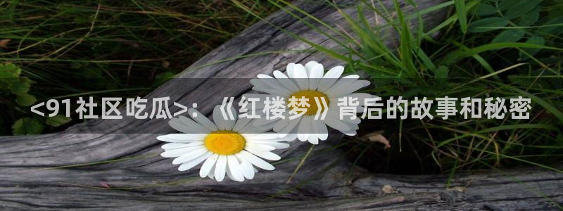 黑料曝光：<91社区吃瓜>：《红楼梦》背后的故事和秘密