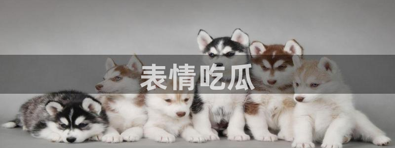 吃瓜胃酸怎么办：表情吃瓜