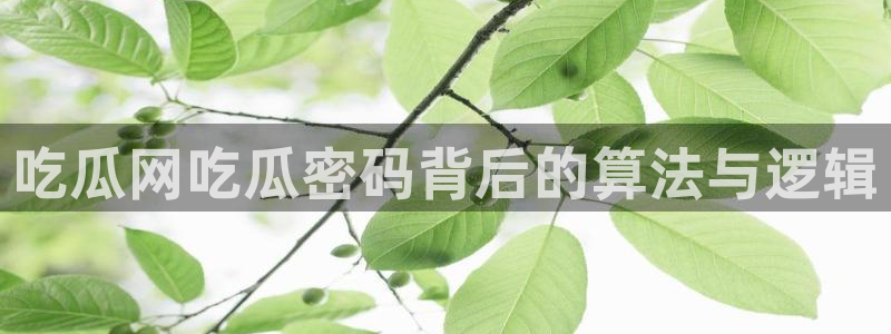 51吃瓜网今日吃瓜热门大瓜