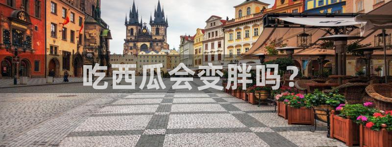 吃瓜网是全网更新最快:吃西瓜会变胖吗?
