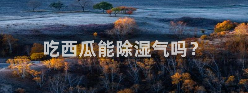 51吃瓜今日吃瓜必吃莫里：吃西瓜能除湿气吗？