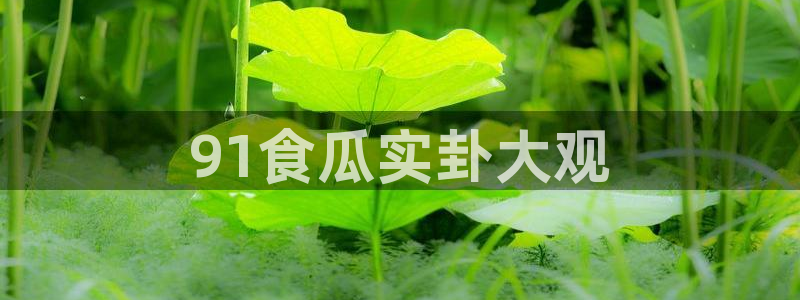 51cg吃瓜网每日吃瓜:91食瓜实卦大观